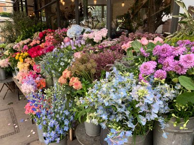 I fiori fanno bene all'umore? Sì, e non è solo una sensazione