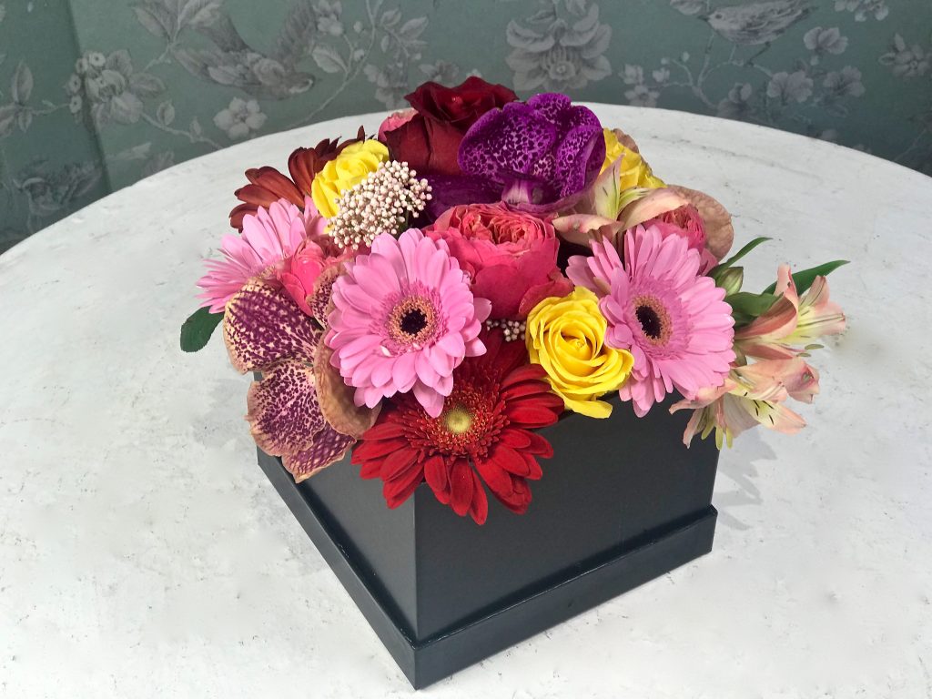 Quadretti Fiori Assortiti per Feste e Occasioni Quadretti Fiori Assortiti per Feste e Occasioni